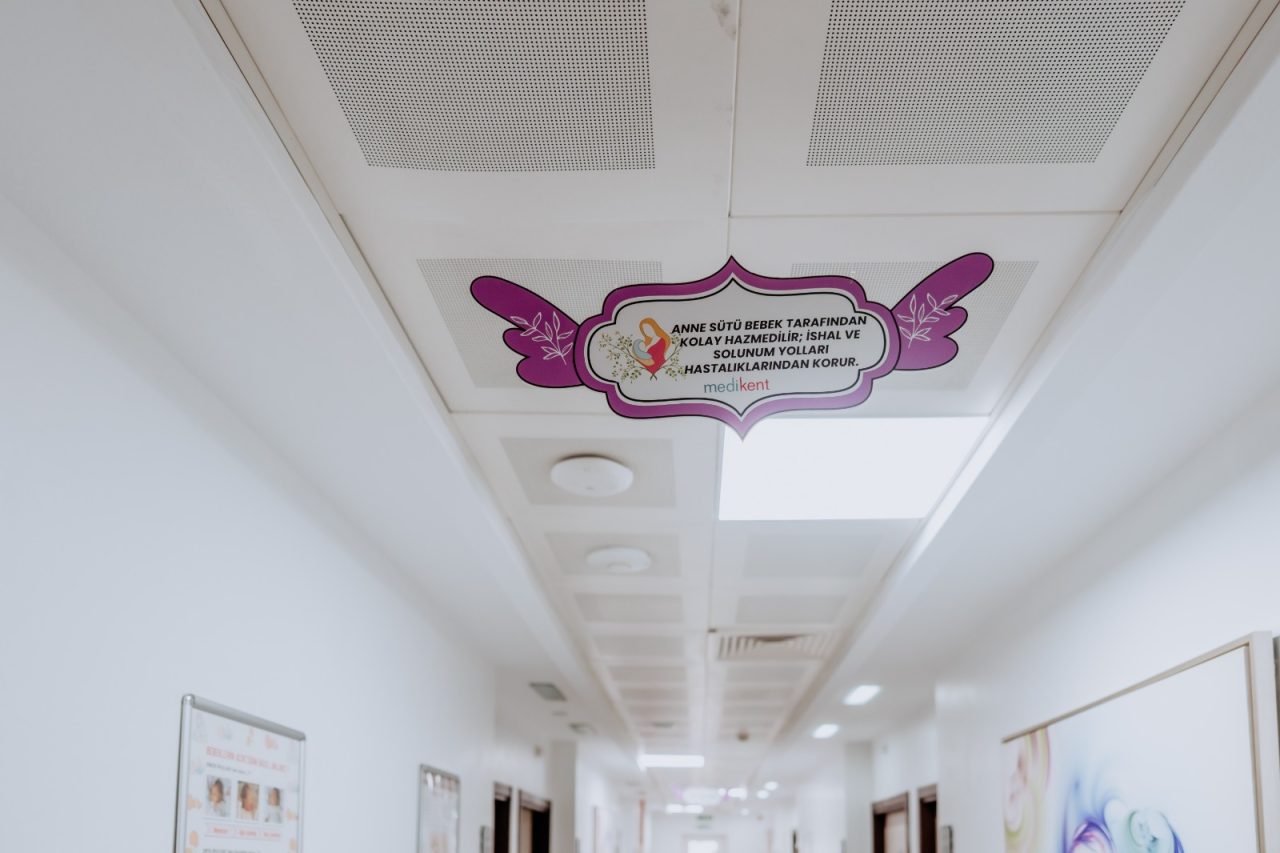 WhatsApp Image 2025-10-27 at 12.00.32 (3) WhatsApp Image 2025-10-27 at 12.00.32 (3)